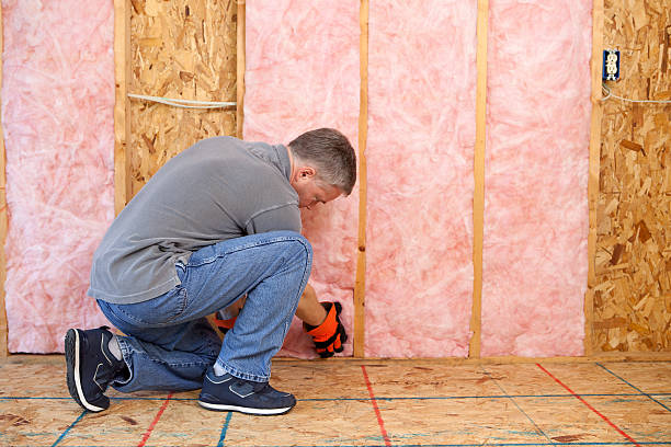 Types of Insulation We Offer in Travilah, MD